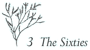 Chapter 3 - The Sixties